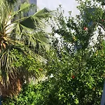 Rania Sea View 公寓式酒店 Mykonos Town