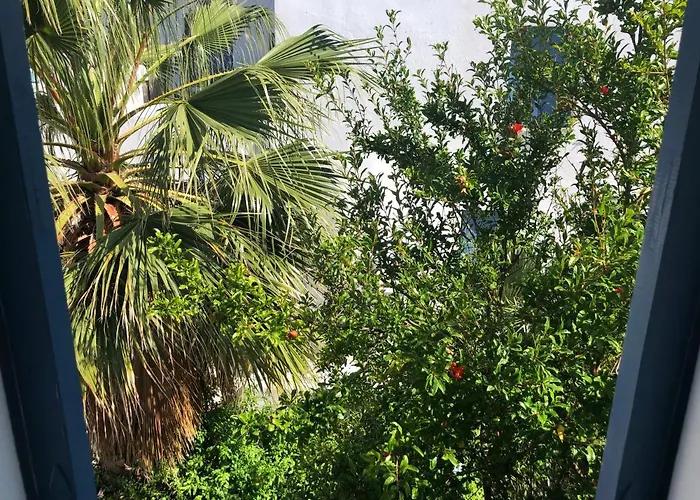 Rania Sea View Lägenhetshotell Mykonos Town