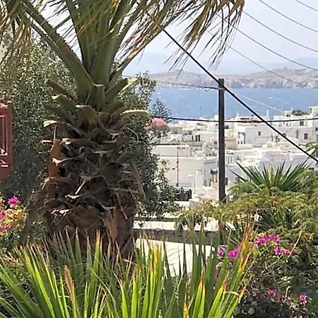 Rania Sea View 아파트호텔 Mykonos Town