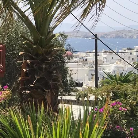 Rania Sea View מלון דירות Mykonos Town