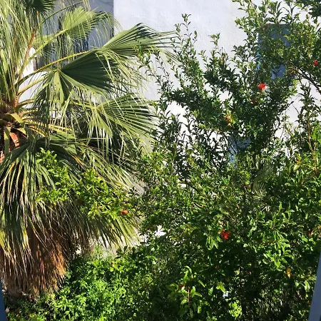 Rania Sea View מלון דירות Mykonos Town