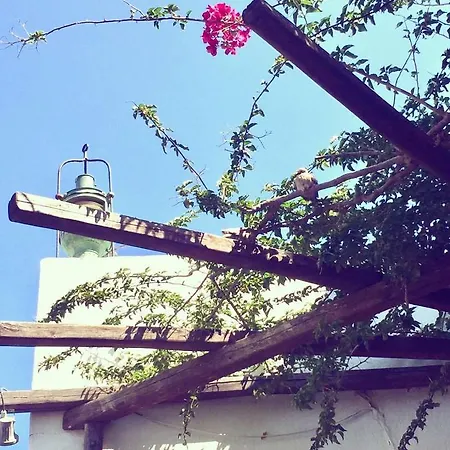 Lejlighedshotel Rania Sea View